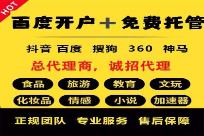 百度竞价SEM策略解析：某品牌广告成功的关键因素